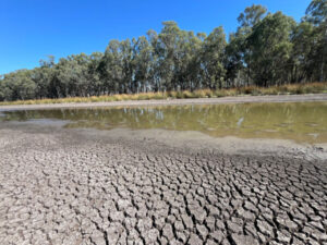 Efficient flow for wetlands protection