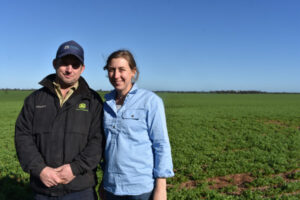 October rain enhances crops