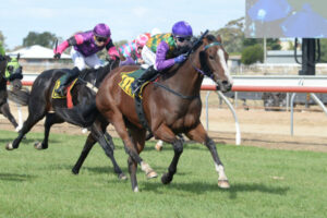 Burns wins Cup with second choice