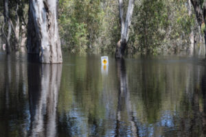 Crucial flood alerts added to emergency app
