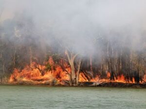 Alarming higher-risk fire danger looms