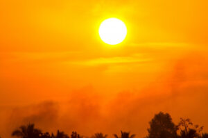 Hot, dry times ahead for Mallee