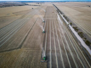 Buoyed by best harvest in four years