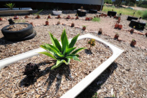 Book for a plant workshop