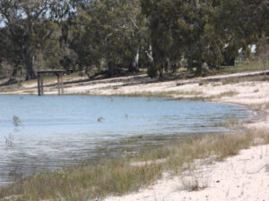 Full outlook for summer at Lake Meran