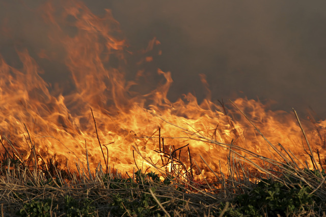 Preparing for fire season