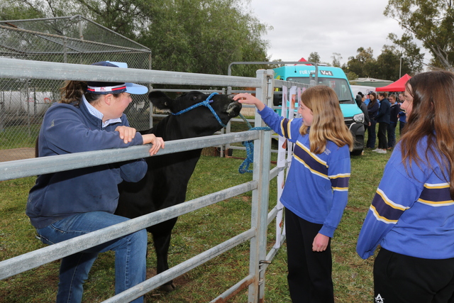 Students experience a taste of farming