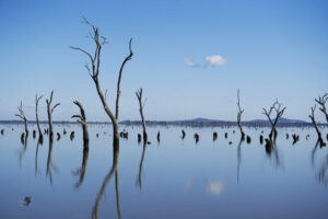 State protection declaration for Ghow Swamp
