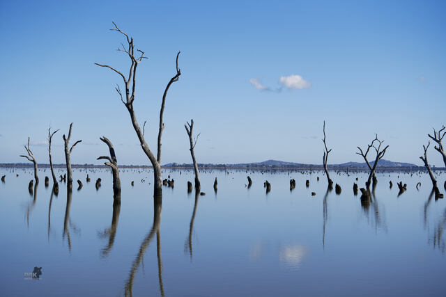 Push to heritage list swamp