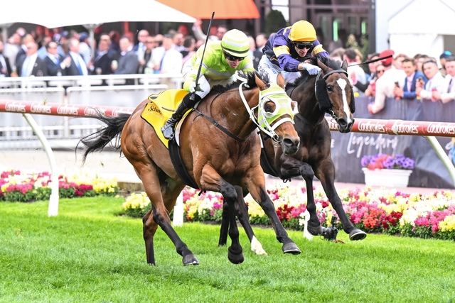 Double delight for McNeil
