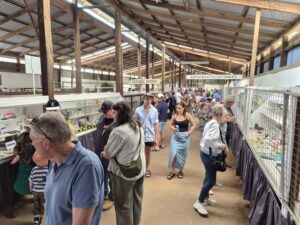 Family friendly show embraced by community