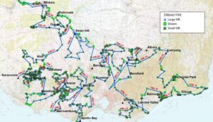 Survey on duck abundance