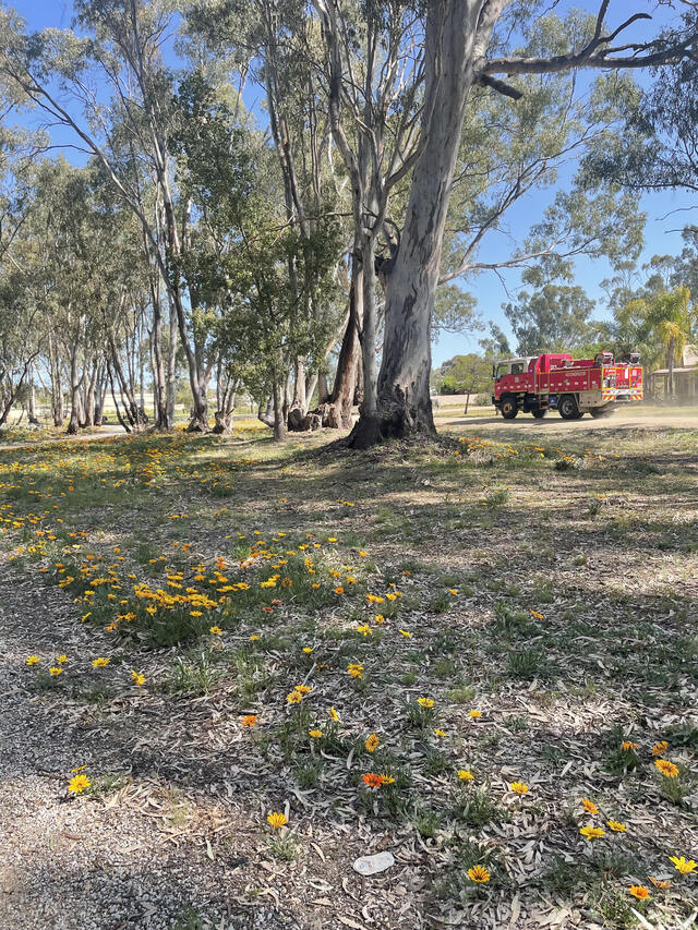 Fires prompt safety warning