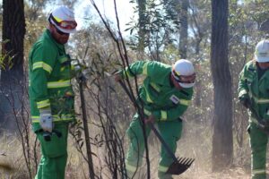 New recruits bolster firefighting resources