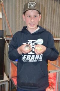 Out and about: at the Kerang Show