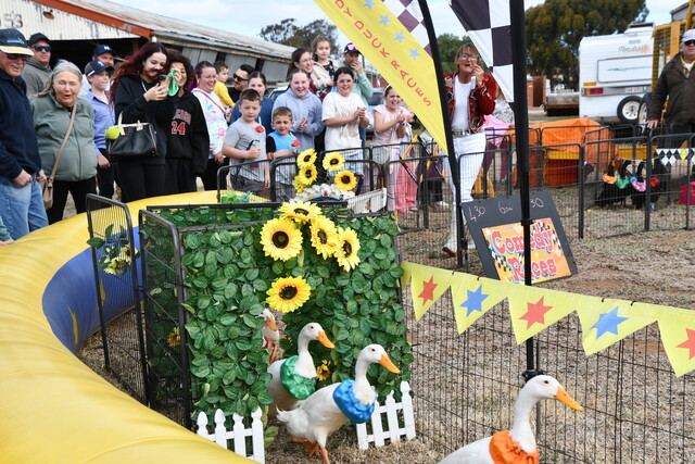 Out and about: at the Kerang Show