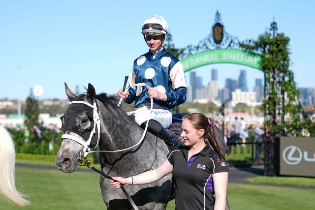 King’s Cup for McNeil