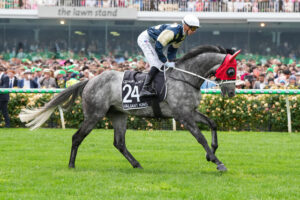 McNeil cops heavy suspension