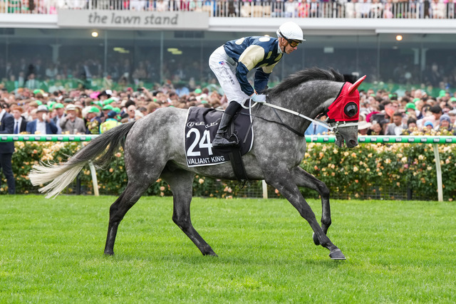 McNeil cops heavy suspension