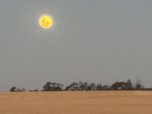 Spectacular supermoon