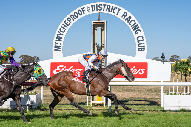 Kokoro claims Cup victory