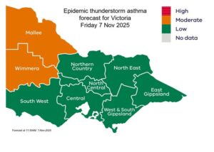 Asthma storm warning