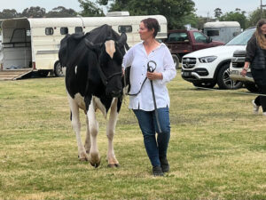 From Jerseys to Guernseys
