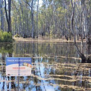 Have your say on Gunbower