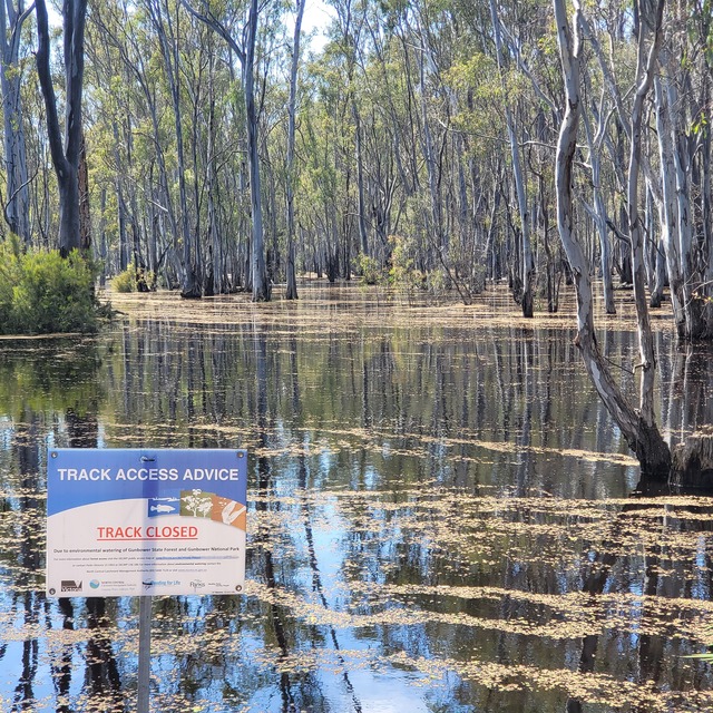 Have your say on Gunbower