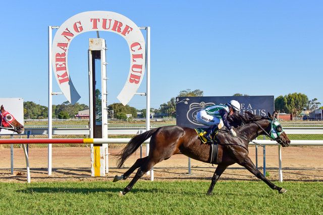 Saunders steps up as new Kerang Turf Club president
