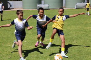 Juniors unfazed by skill depth