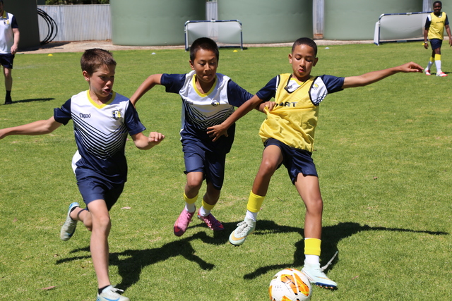 Juniors unfazed by skill depth