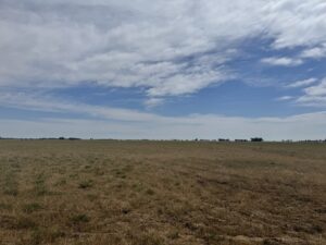 Renewable benefit claims under scrutiny