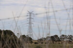 TCV defends compulsory access for environmental surveys