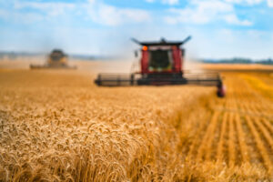 Harvesters urged to monitor conditions