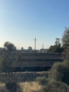 Aggressive fire quickly spreads