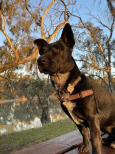 Know where, how to walk