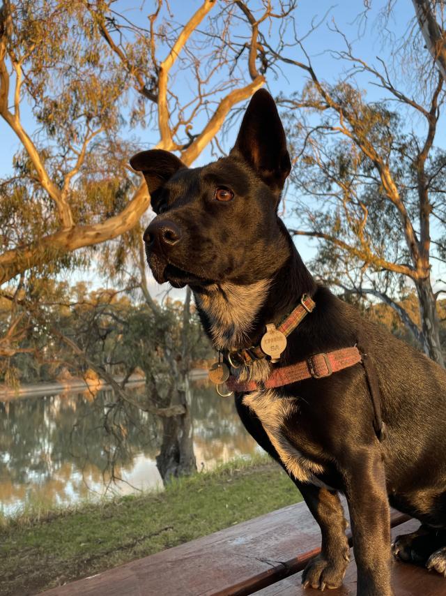 Know where, how to walk