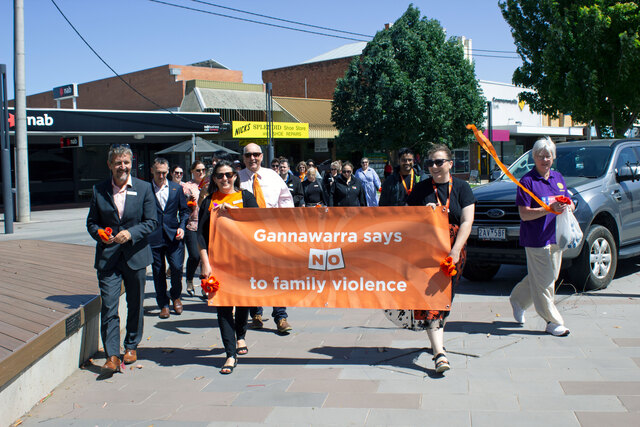 Council releases domestic violence strategy