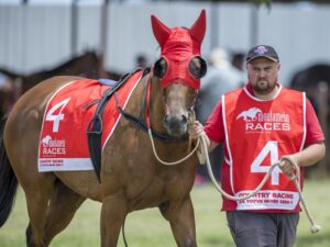 Moulamein dusts off its racing attire