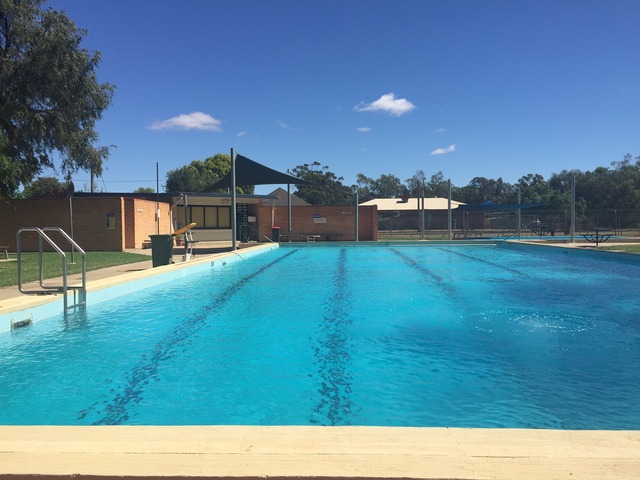 Swimming to Lalbert?