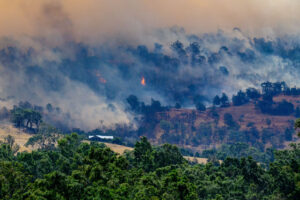 VFF responds to help bushfire impacted farmers