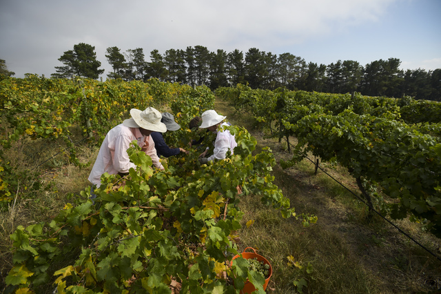 Promises too good to refuse