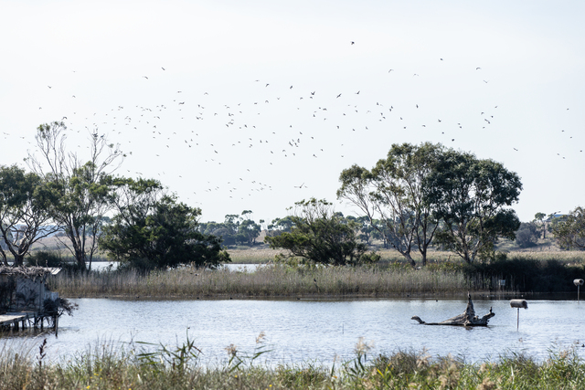 Daily bag limits as season announced