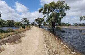 Flood betterment works proceed