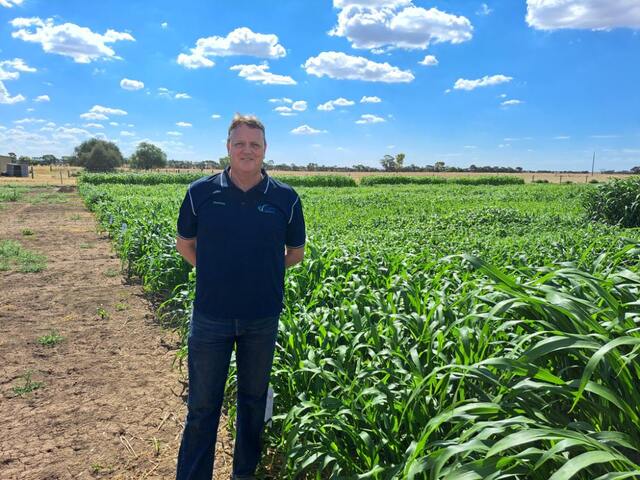 Independent actionable research