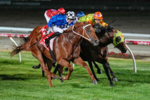 McNeil’s second coming