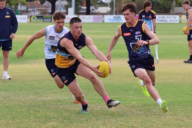 Pioneers hit ground running