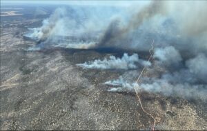 MP welcomes bushfire probe