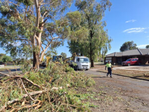 Cohuna survives storm damage